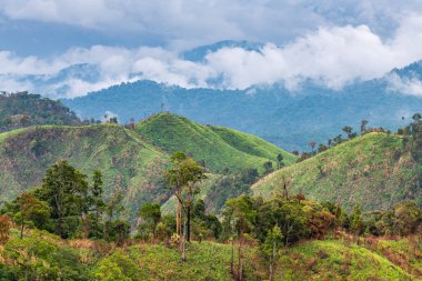 Üstünde güzel düşük bulutlar ile dağ manzara ve orman ağaç çeşitliliği karmaşıklığı