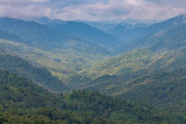 Dağ ve vadi peyzaj karmaşıklığı ve üstünde güzel düşük bulutlar ile orman ağaç çeşitliliği