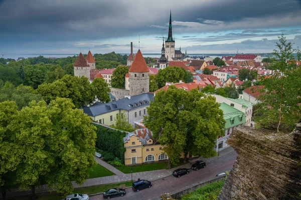 Óváros Tallinn nyári kilátás a Patkuli megtekintése platform felhős napon — Stock Fotó