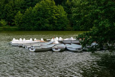 Kiralık bir göl üzerinde beyaz deniz araçları