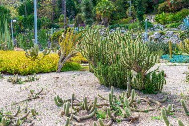 Barcelona Cactus Park