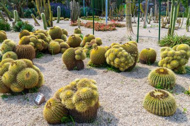 Barcelona Cactus Park