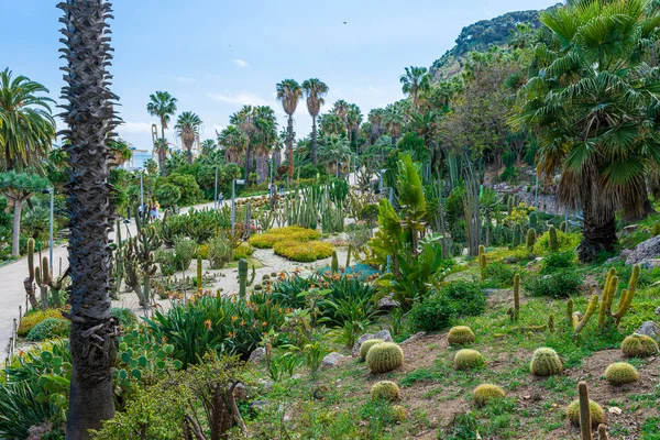 Cactus park en Barcelona — Foto de Stock