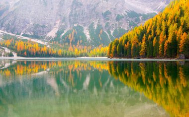 Güneş ışığıyla aydınlatılan ve Braies Gölü, Dolomite Alpleri, İtalya 'nın su yüzeyine yansıtılan altın tarlaların manzarası.