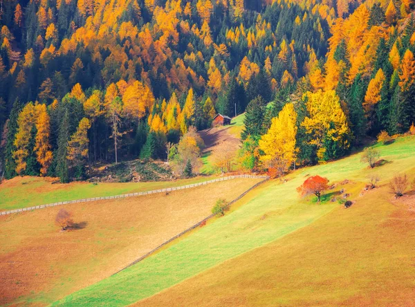 Malebný Pohled Alpských Pastvin Malebném Horském Údolí Dolomity Itálie Slunečný — Stock fotografie