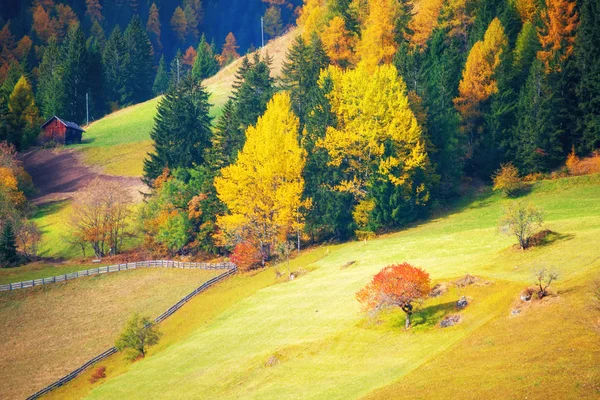 美しい山の谷 ドロミテ 晴れた秋の日にイタリアの高山牧草の風光明媚なビュー — ストック写真