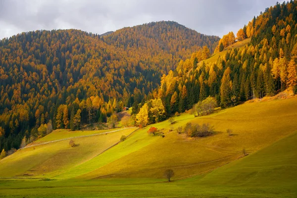 Malebný Pohled Alpských Pastvin Malebném Horském Údolí Dolomity Itálie Slunečný — Stock fotografie