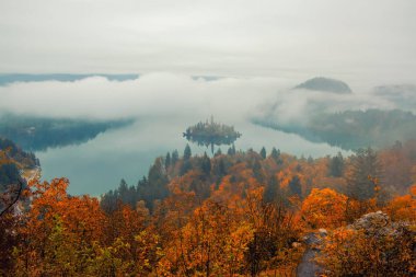 Ön plan ve arka plan, Slovenya üzerinde bulutlar tarafından kaplı dağları ile renkli orman sisli sonbahar sabahı Lake Bled muhteşem manzaraya