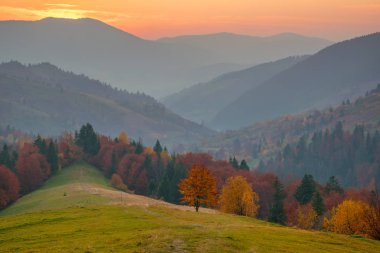 Karpat Dağları'nda güneş battıktan sonra renkli sonbahar akşam.