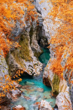 Bovec, Slovenya yakınındaki büyük kanyon Soca nehirde sonbahar günü doğal görünümünü. Dar ve derin kayalık gorge ve mağara Soca Nehri akan masmavi sularına. Bir dağ dere saf su.