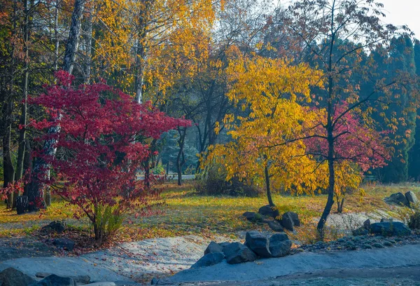 Wunderschöner Herbstpark Mit Bunten Roten Und Gelben Bäumen Herbstliche Naturlandschaft — Stockfoto