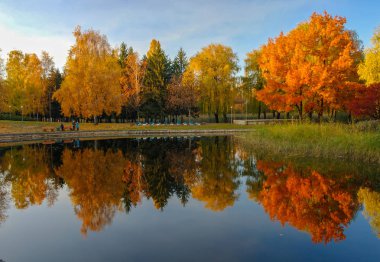 Suya yansıyan renkli ağaçlar ile güzel sonbahar park.