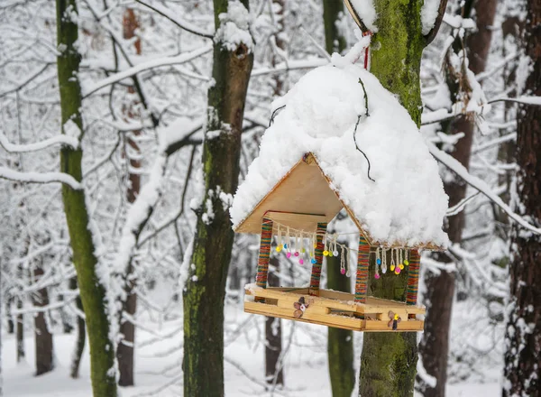 Mangeoire Colorée Couverte Neige Dans Forêt Hiver — Photo