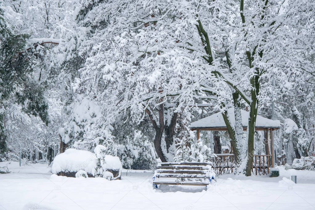 Trees, bench and bower covered with fresh snow in winter park