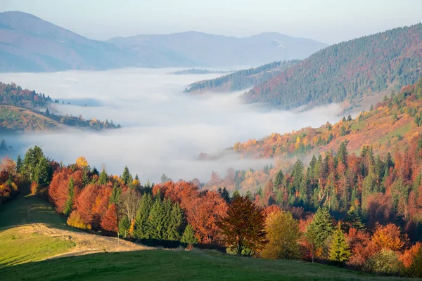 Barevné podzimní ráno v Karpatských horách — Stock fotografie