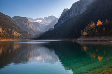 Gosausee göl Dağları ile sonbahar sahne yüzey su ve Dachstein Dağ Zirvesi (Unesco Dünya Mirası) yansıyan arka planda, Salzkammergut bölge, Yukarı Avusturya