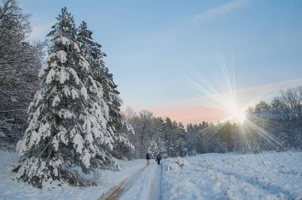 Zwei Figuren Auf Der Straße Winterwald Mit Tannen Unter Neuschnee — Stockfoto