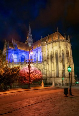 Scenic nightscape of St. Elisabeth cathedral with blooming sakura tree in the main square of Kosice city, Slovakia. St. Elisabeth cathedral is a Slovakia's largest church clipart