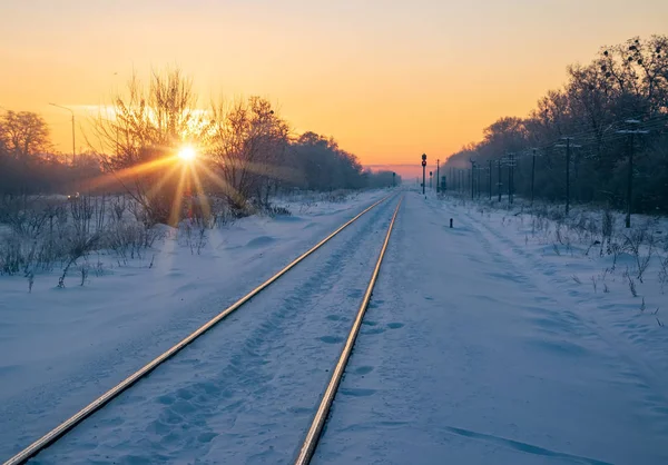 Malerischer Blick Auf Die Bahn Weit Weg Durch Winterfeld Mit — Stockfoto