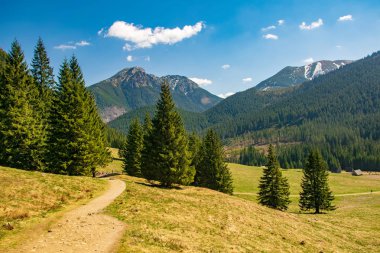 Güneşli bir bahar günü, arka plan, Tatra Dağları, Polonya'da pitoresk dağlar ile ünlü Chocholowska takas toprak yol