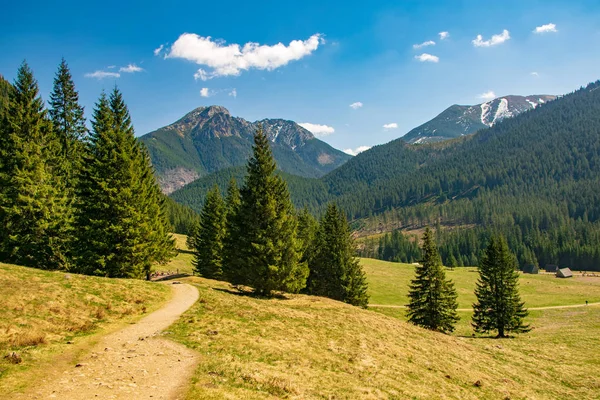 Güneşli Bir Bahar Günü Arka Plan Tatra Dağları Polonya Pitoresk — Stok fotoğraf
