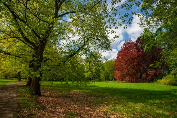 Park der Burg Konopiste im Frühling, benesov, Tschechische Republik — Stockfoto