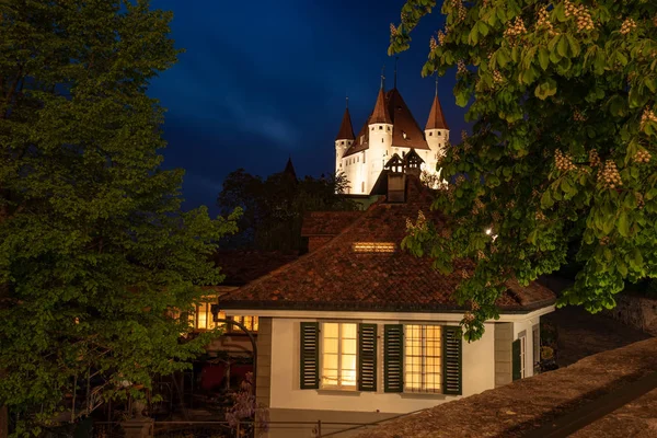 Panorama notturno del castello di Thun nella città di Thun, Oberland Bernese, Svizzera — Foto Stock