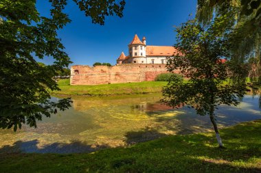 Ortaçağ Fagaras Kalesi, Fagaras, Transilvanya manzara. Romanya