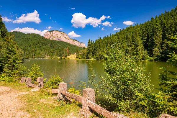 Doğu Karpatlar'daki Lacul Rosu dağ gölünün veya Kızıl Göl'ün yaz manzarası, Harghita County, Romanya — Stok fotoğraf