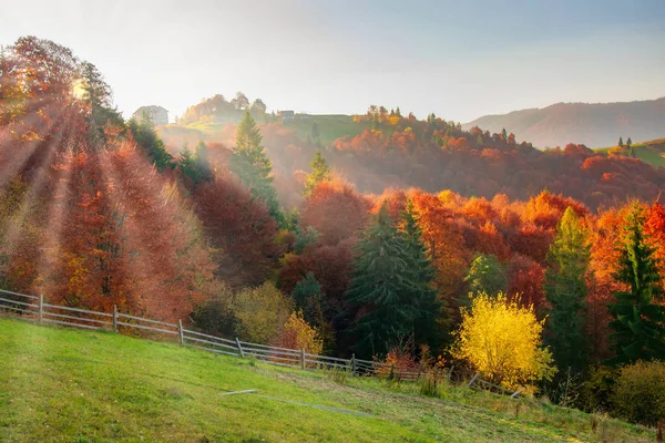 Pestrá podzimní krajina v Karpatských horách při východu slunce, Ukrajina — Stock fotografie