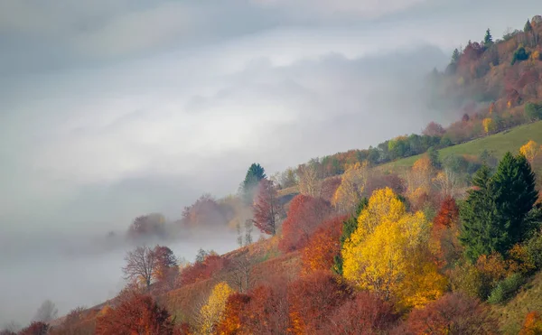 Осенний туман в Карпатах, Украина — стоковое фото