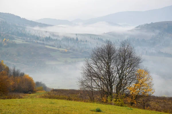 Ráno v Karpatských horách na sklonku podzimu — Stock fotografie