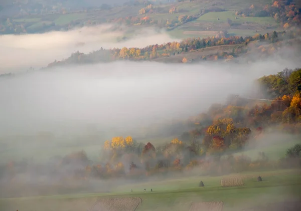 Podzimní mlha v Karpat, Ukrajina — Stock fotografie