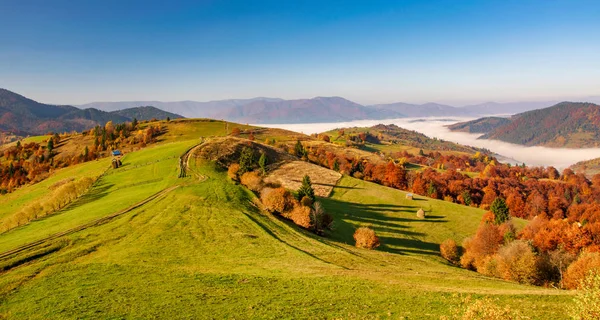 喀尔巴鄂山脉多姿多彩的秋景 — 图库照片