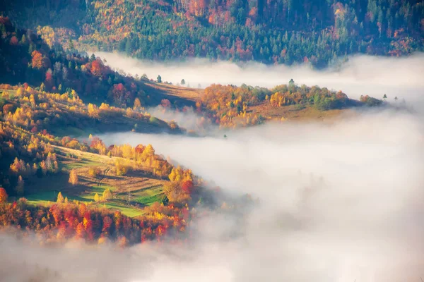 Podzimní mlhavé ráno v Karpatských horách, Ukrajina — Stock fotografie