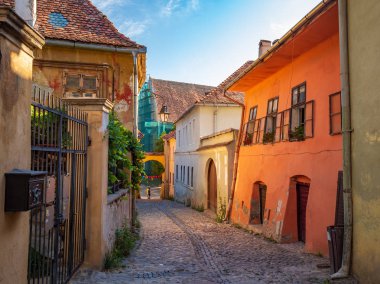 Sighisoara, Transilvanya bölgesi, Romanya renkli evler ile taş döşeli ortaçağ sokakları.