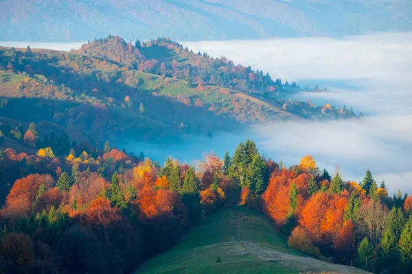 Barevné podzimní ráno v Karpatských horách — Stock fotografie