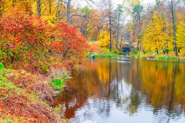 Suya yansıyan renkli ağaçlarla sonbahar manzarası, Arboretum Oleksandriya, Bila Tserkva, Ukrayna