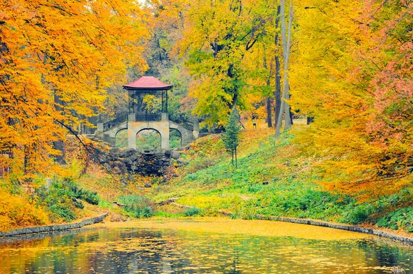Renkli ağaçlar ve dekoratif köprü ile Sonbahar sahne, Arboretum Oleksandriya, Bila Tserkva, Ukrayna