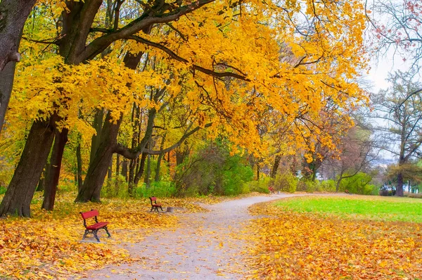 Осінні пейзажі з червоними лавками в парку — стокове фото