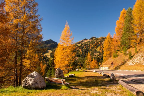 Autumn scenery in Dolomite Alps with bench under beautiful yellow larch trees