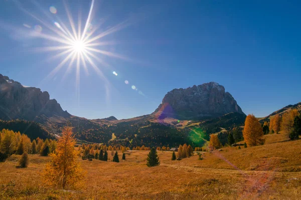 Paisaje otoñal en valle alpino con alerce amarillo y montaña Sassolungo sobre fondo, Alpes Dolomitas, Italia — Foto de Stock