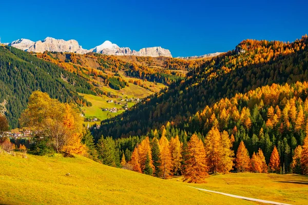 山の丘や太陽の光で照らされた黄色の木と親指の風景。Alta Badia, Dolomite Alps,イタリア — ストック写真