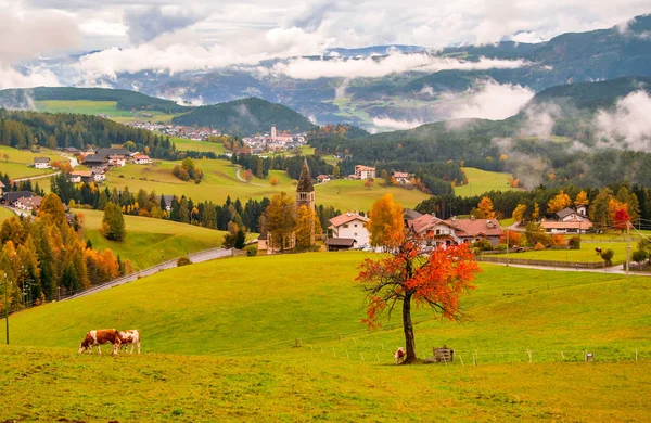 San Michele和Castelrotto村美丽的秋天风景。 意大利南蒂罗尔白云岩阿尔卑斯山 — 图库照片