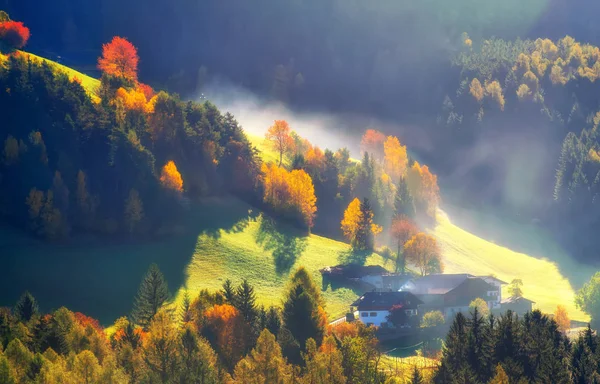Farbenfrohe Herbstlandschaft in den Bergen — Stockfoto