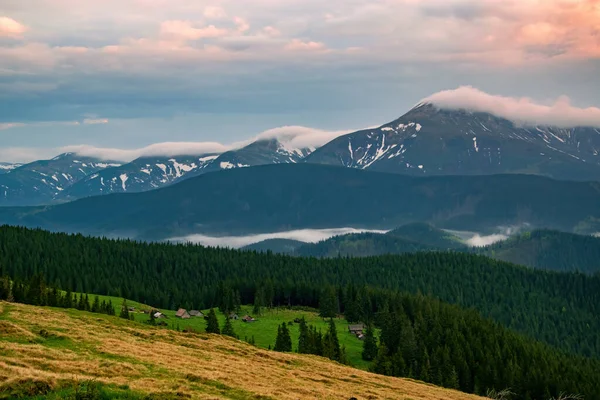 Spektakulär Höstkväll Över Fjälläng Karpaterna Ukraina Chornohora Bergskedja Täckt Moln — Stockfoto