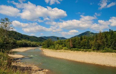 Güneşli yaz gününde Vyzhnytsia Ulusal Doğa Parkı 'ndaki Prut Nehri. Prut Nehri - Ukrayna 'da kano raftingi için popüler turistik bölge