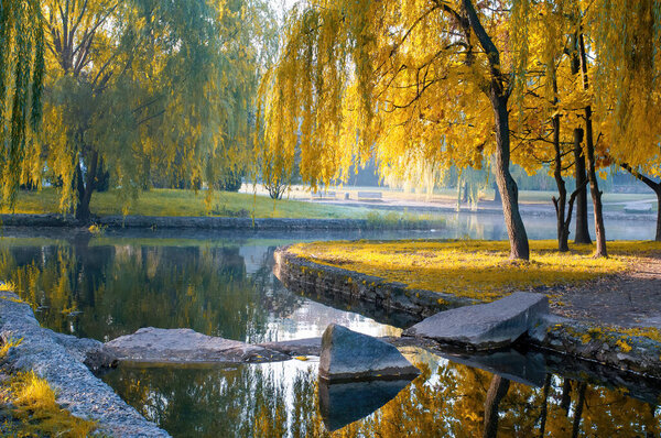 Beautiful autumn park with yellowed willow trees reflected in the water. Decorative stones on foreground