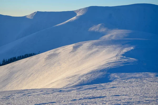 Verbazingwekkend Winterlandschap Bergheuvels Bedekt Met Sneeuw Karpaten Oekraïne — Stockfoto