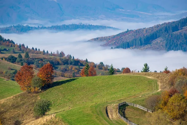 Úžasné Podzimní Ráno Karpatských Horách Barevné Kopce Slunci Polní Cesty — Stock fotografie